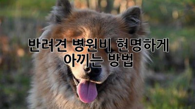 반려견 병원비, 현명하게 아끼는 방법