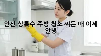 안산 상록수 주방 청소🧹 찌든 때, 이제 안녕! ✨