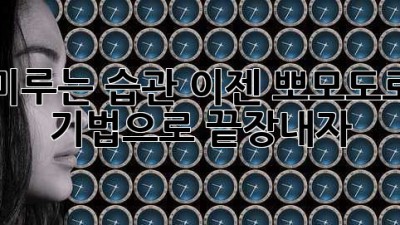 미루는 습관? 이젠 뽀모도로 기법으로 끝장내자!